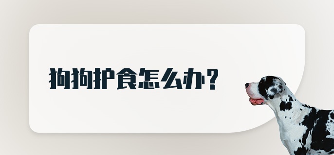 狗狗护食怎么办?