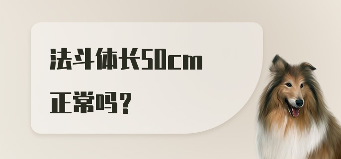 法斗体长50cm正常吗？