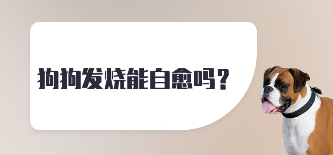 狗狗发烧能自愈吗？