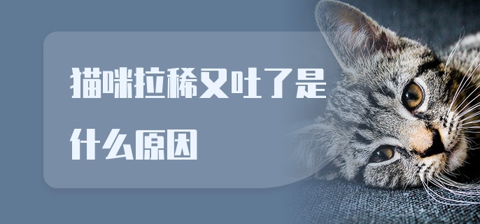 猫咪拉稀又吐了是什么原因