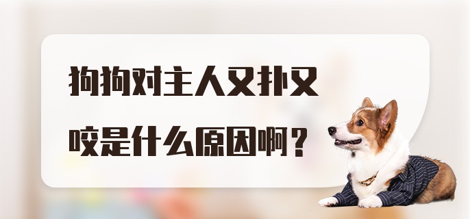 狗狗对主人又扑又咬是什么原因啊?