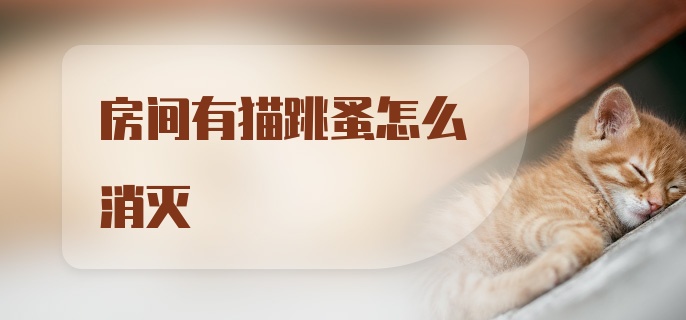 房间有猫跳蚤怎么消灭