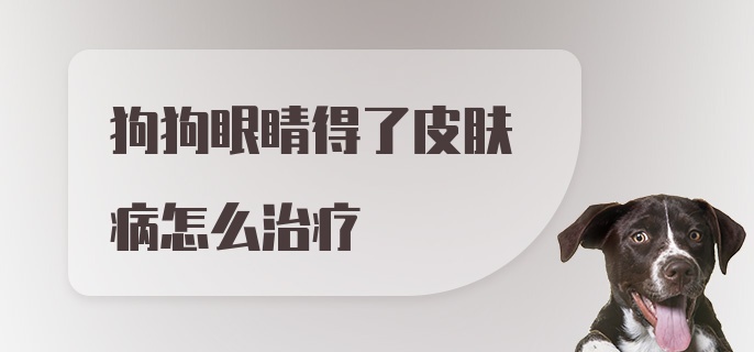 狗狗眼睛得了皮肤病怎么治疗