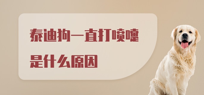 泰迪狗一直打喷嚏是什么原因