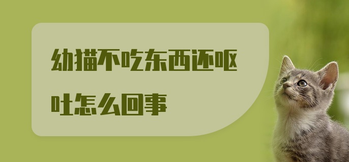 幼猫不吃东西还呕吐怎么回事