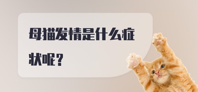 母猫发情是什么症状呢？