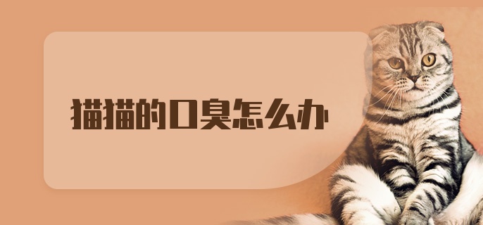 猫猫的口臭怎么办