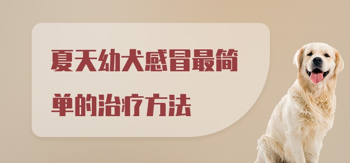 夏天幼犬感冒最简单的治疗方法