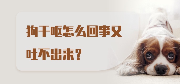 狗干呕怎么回事又吐不出来？