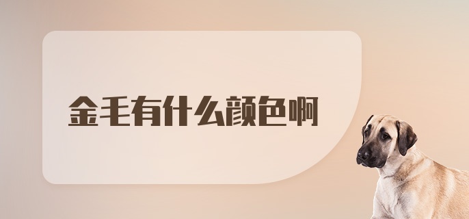 金毛有什么颜色啊