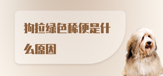 狗拉绿色稀便是什么原因