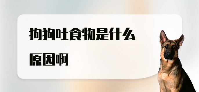 狗狗吐食物是什么原因啊