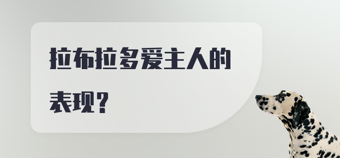 拉布拉多爱主人的表现？