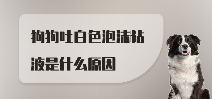 狗狗吐白色泡沫粘液是什么原因