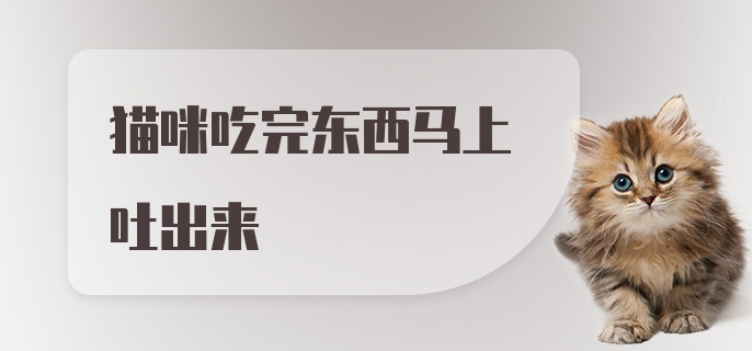 猫咪吃完东西马上吐出来