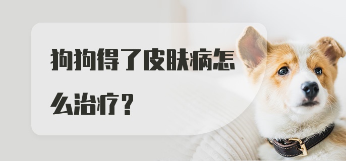 狗狗得了皮肤病怎么治疗?