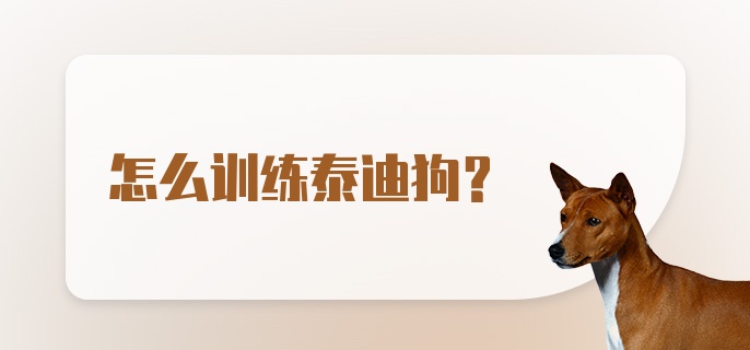 怎么训练泰迪狗?