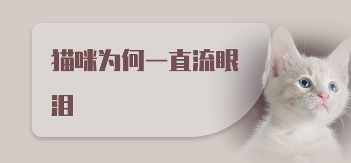 猫咪为何一直流眼泪