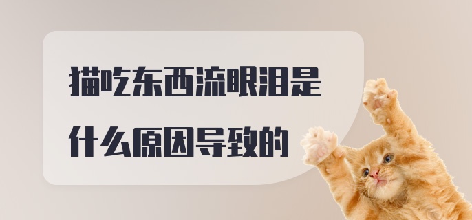 猫吃东西流眼泪是什么原因导致的