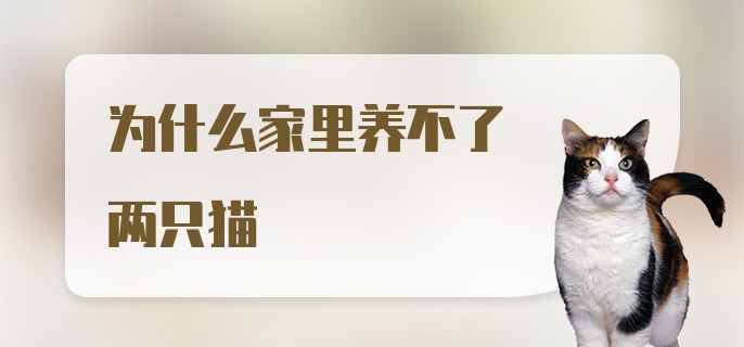 为什么家里养不了两只猫