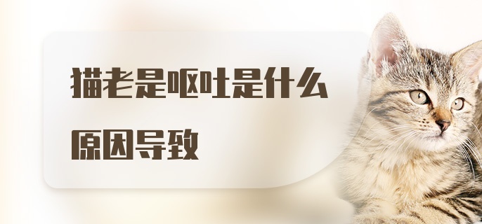 猫老是呕吐是什么原因导致