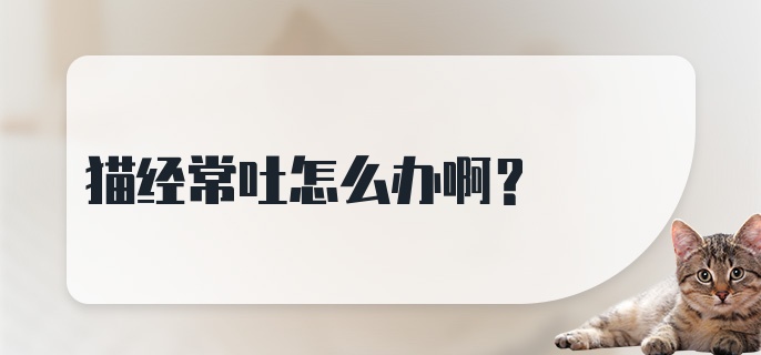 猫经常吐怎么办啊？