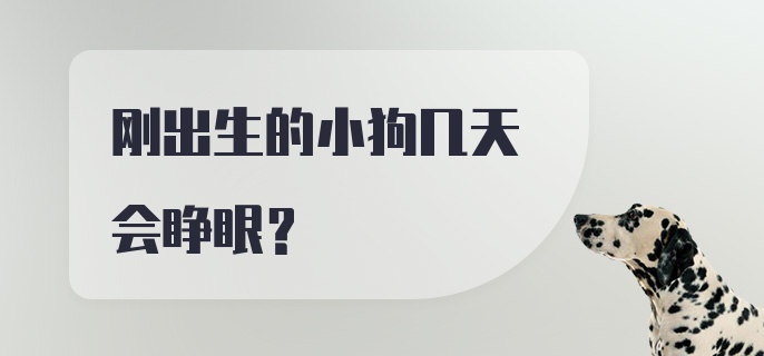 刚出生的小狗几天会睁眼？