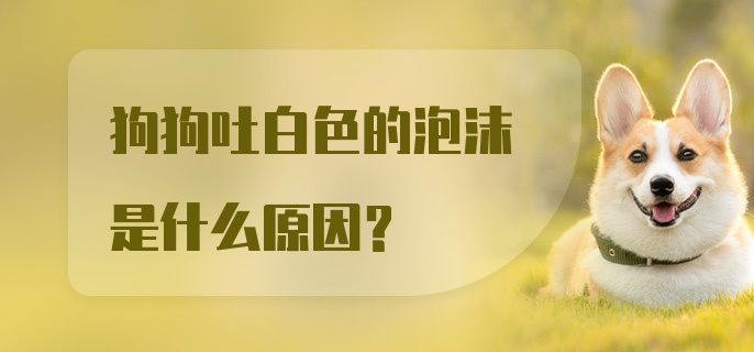 狗狗吐白色的泡沫是什么原因？