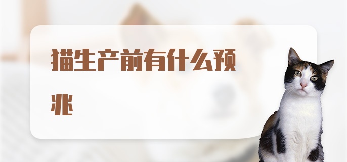 猫生产前有什么预兆