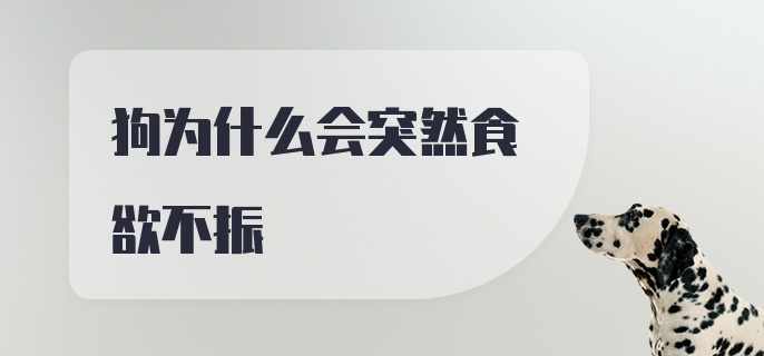 狗为什么会突然食欲不振