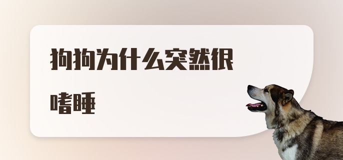 狗狗为什么突然很嗜睡