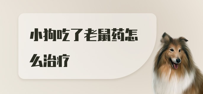 小狗吃了老鼠药怎么治疗