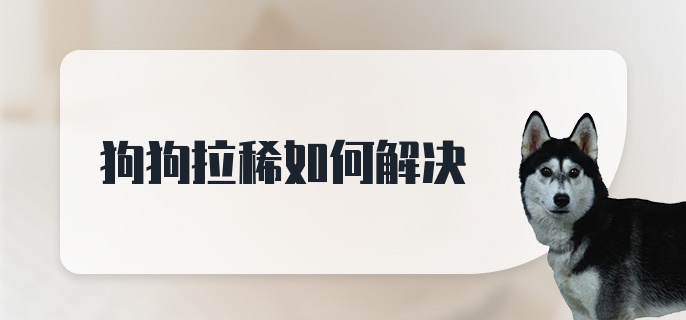 狗狗拉稀如何解决