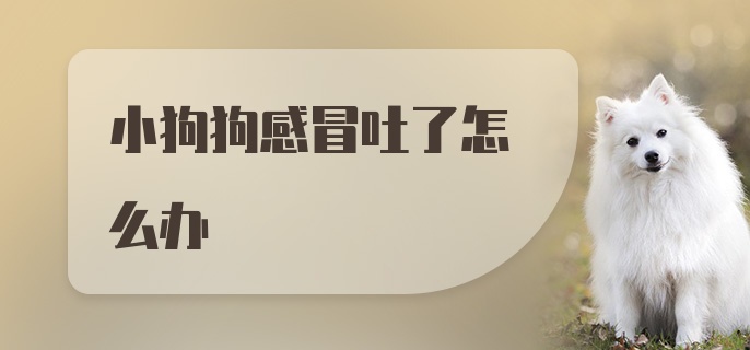 小狗狗感冒吐了怎么办