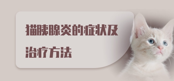 猫胰腺炎的症状及治疗方法