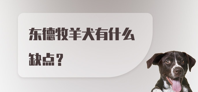 东德牧羊犬有什么缺点？