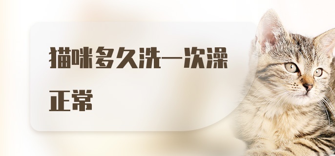 猫咪多久洗一次澡正常