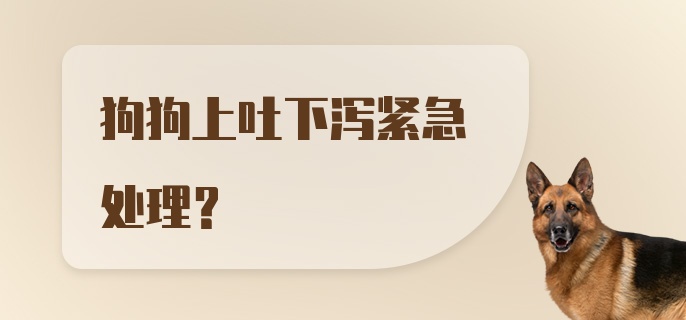 狗狗上吐下泻紧急处理？