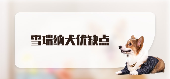 雪瑞纳犬优缺点