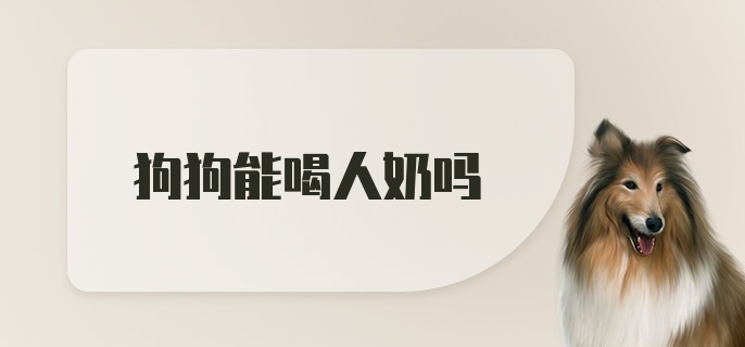 狗狗能喝人奶吗