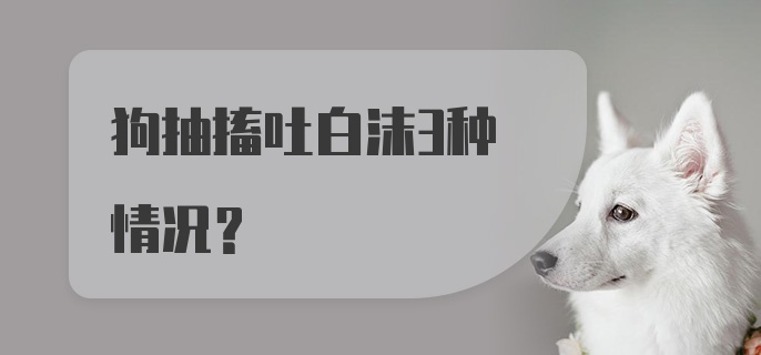 狗抽搐吐白沫3种情况？