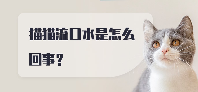 猫猫流口水是怎么回事？