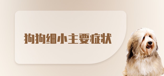 狗狗细小主要症状