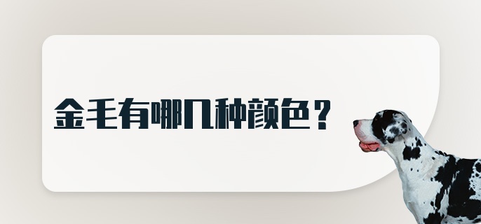 金毛有哪几种颜色？