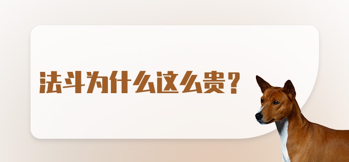 法斗为什么这么贵？