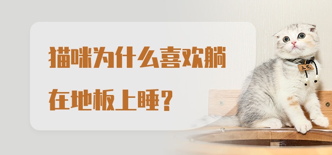 猫咪为什么喜欢躺在地板上睡？