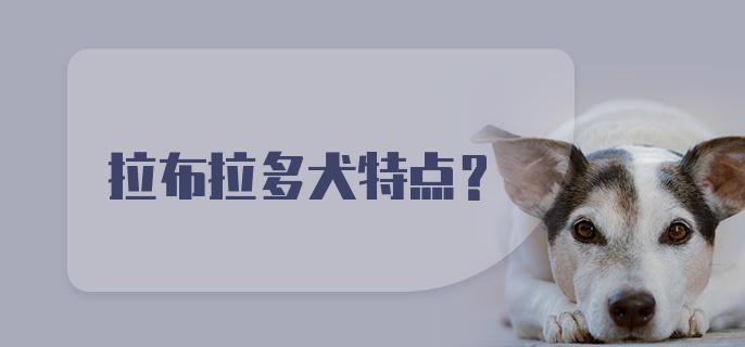 拉布拉多犬特点？