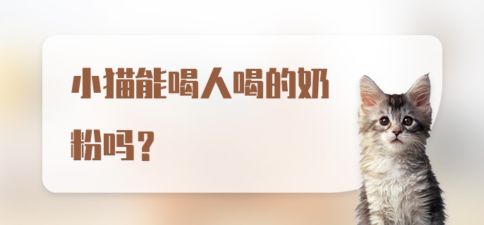 小猫能喝人喝的奶粉吗？