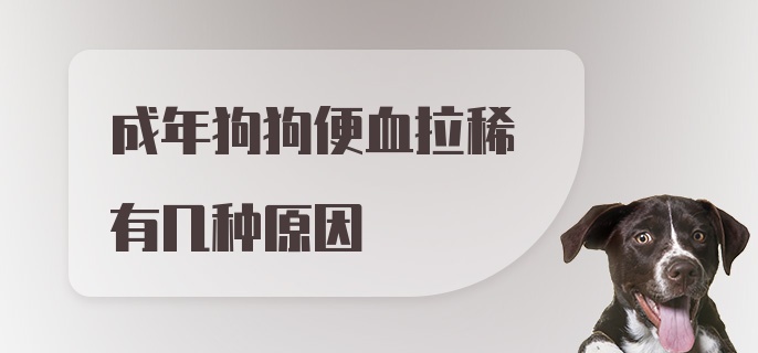 成年狗狗便血拉稀有几种原因