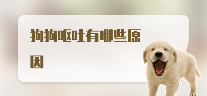 狗狗呕吐有哪些原因